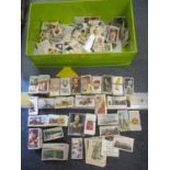 A quantity of cigarette cards to include Taddy & Co footballers, Carreras Kodak at the Zoo and other