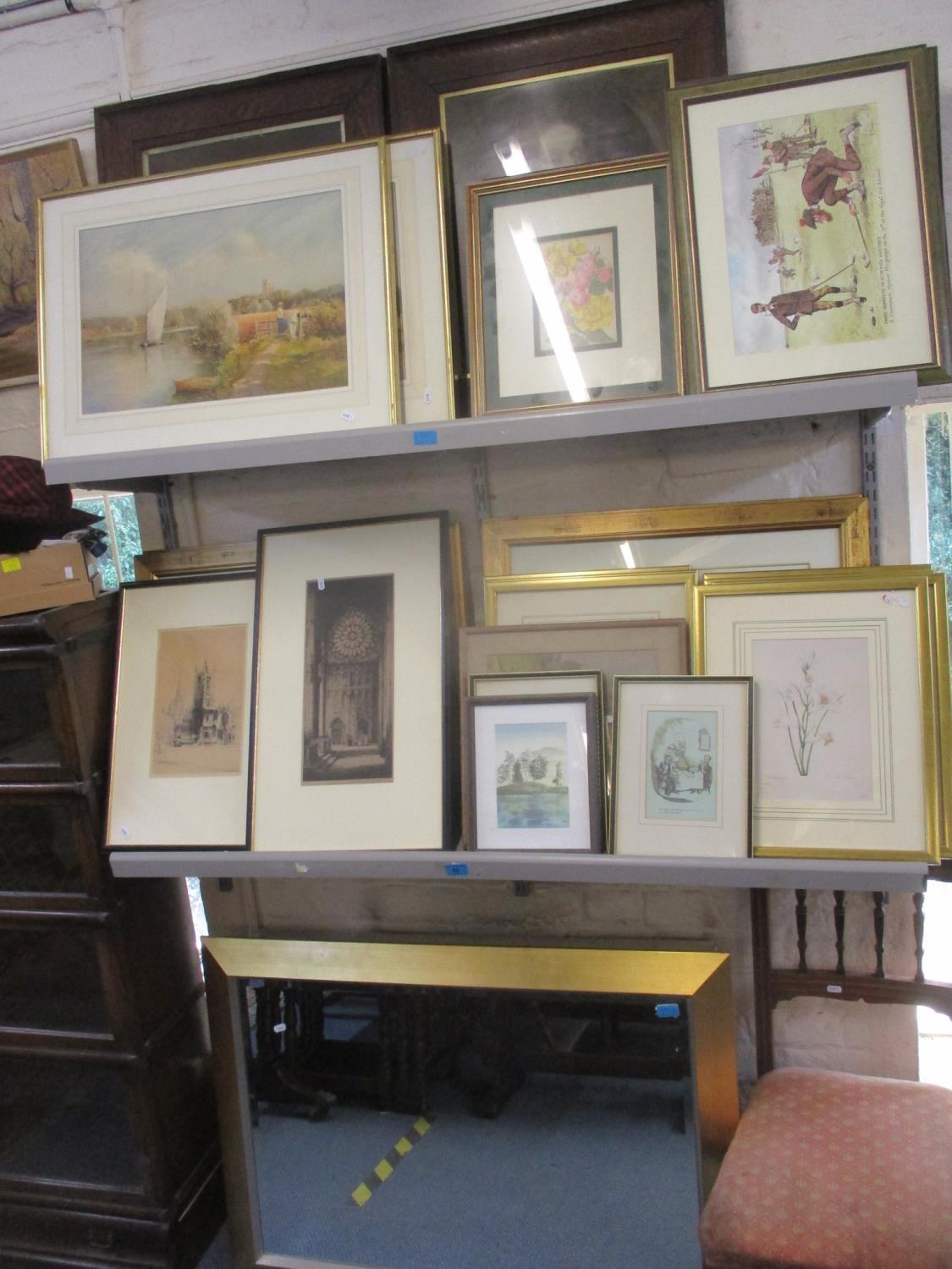 Prints to include botanical, cathedral, comical and others, along with a gilt framed mirror