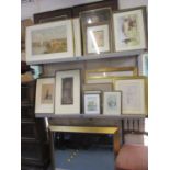 Prints to include botanical, cathedral, comical and others, along with a gilt framed mirror