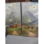 A pair of oils on canvas depicting Highland Cattle, unframed A/F