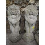 A pair of reconstituted stoneware garden ornaments of seated lions, 22"h