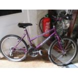 A purple Magna Echo Ridge Tensic steel ladies bicycle