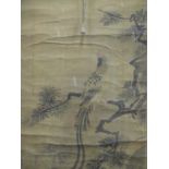 An 18th/19th century Chinese scroll depicting an exotic bird perched on a branch, watercolour