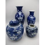 Early 20th century Chinese blue and white ceramics decorated with prunus blossom comprising a ginger