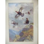 J C Harrison - grouse in flight and another on a rock in a moorland landscape, watercolour, bears