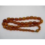 A butterscotch coloured amber necklace with forty five beads 32 1/2" long, 104g