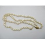 A single row cultured pearl necklace, 88 uniformed pearls hanging on a 9ct gold clasp