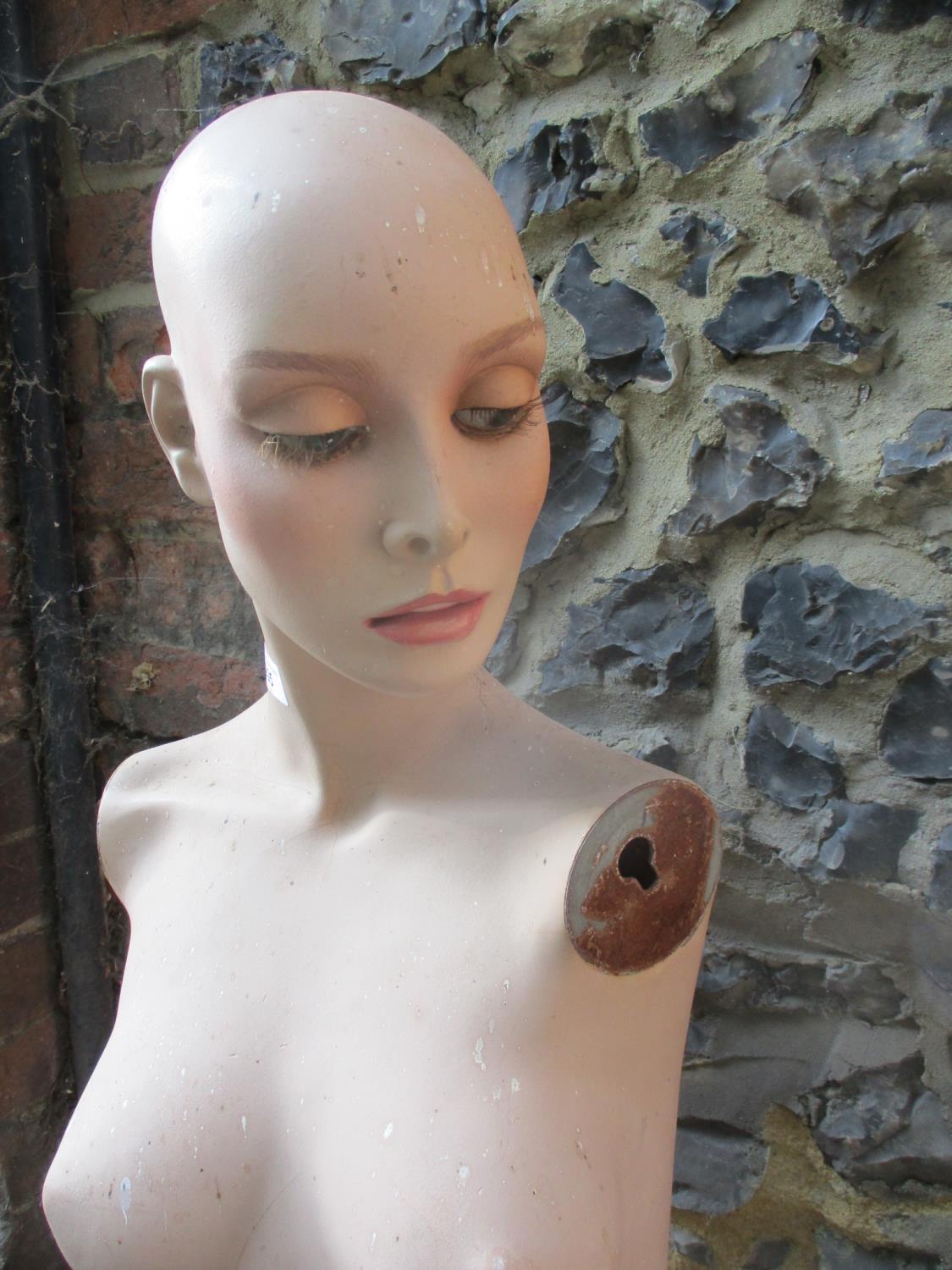 A vintage fibre glass mannequin torso having a painted face deficient of arms and lower limbs, - Image 3 of 5