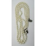 A two row strand cultured pearl necklace, 84 and 77 graded pearls hanging on a silver clasp