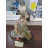 A Country Artists model falcon Lord of the Skies by David Lvey, limited edition 479/850