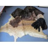 A vintage deer hide A/F, together with fur clothing to include a beaver lamp camp and a hand muff