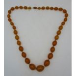 A yellow Bakelite necklace with thirty five graduated beads and a screw clasp, 109g, 81.5cm l