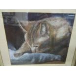 S K Carey - A Sleeping Cat, pastel study, signed lower right corner, 28 1/2 x 33 cm, mounted in a