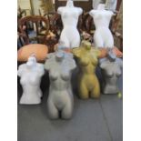 Display hanging hollow back torsos in various colours and two sizes, all female (seventeen in total)