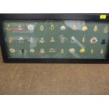 A framed collection of British Army cap badges