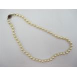 A single strand cultured pearl necklace with diamond, ruby and 9ct gold clasp, comprising 54 uniform