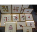 Botanical prints and studies of vegetables and shoes and chairs, mounted in gold painted frames