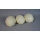 A Collection of Three Ostrich Eggs