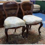 A Pair of A Late Victorian Mahogany Framed Balloon Back Salon Chairs with Serpentine Front and
