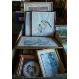 A Collection of Fourteen Various Pictures, Prints and Certificate