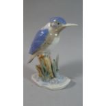 A Continental Glazed Study of a Kingfisher, 16cm High