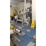 A Titon Five Step Stepladder