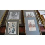 A Collection of Prints and Pictures to Include Three Watercolours, Two Prints and an Egyptian