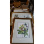 Three Framed City Prints and a Still Life Watercolour