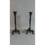 A Pair of Late 19th Bronze Candlesticks of Reeded Column Form with Lizard Mounts on Tripod Base with