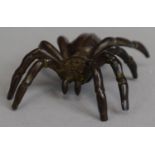 A Small Bronze Study of Spider
