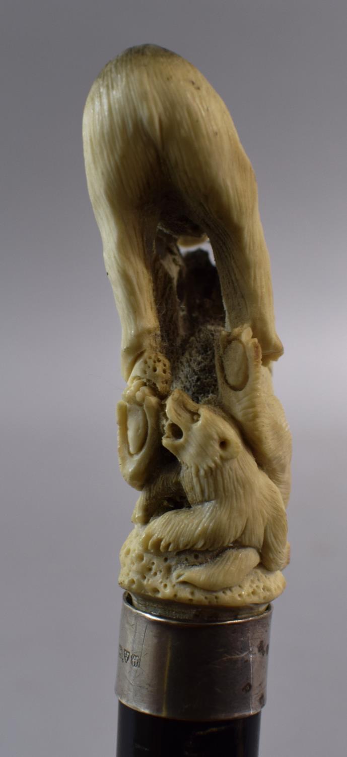 A Gents Ebonised Thornwood Walking Cane with Carved Antler Finial Depicting Two Bears Fighting - Image 4 of 7