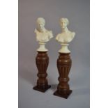 A Pair of Grand Tour Type Classical Busts Supported on Carved Walnut Plinths. 38cms High