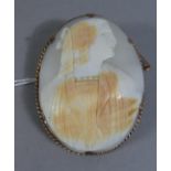 A Large Carved Shell Cameo Depicting Continental Maiden, in 9ct Gold Mount, 6cm x 4.5cm