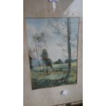 A Framed Watercolor of Silver Birch Trees