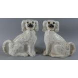 A Pair of Victorian Staffordshire Spaniels with Glass Eyes, 25cm High
