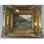 A Reproduction Gilt Framed Textured Oil on Board of a Shorthorn Cow, Frame 34cm Max and Oil 16.5cm