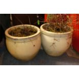 Two Cream Glazed Patio Plant Pots, 36cm Diameter
