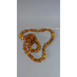 A String of Amber Chip Beads, 41g