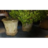 A Pair of Reconstituted Stone Garden Planters, One with Shrub, Relief Basket Weave Decoration,