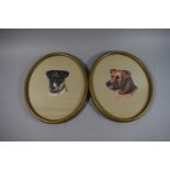 A Pair of Oval Amy Scott Dog Prints, "Pat" and "Guy", 28cm high