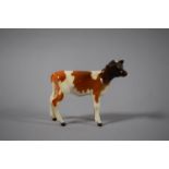 A Beswick Ayrshire Calf