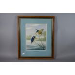 A Framed Limited Edition Rena Print Published 1973, "Malachite Kingfishers", With Proof Stamp and