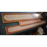 A Collection of Three Framed 19th Century Lace Lappets with Scalloped Edges