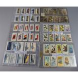 A Collection of Cigarette Cards in Plastic Album Pockets to Include, 1936 Wills 'Railway Engines',