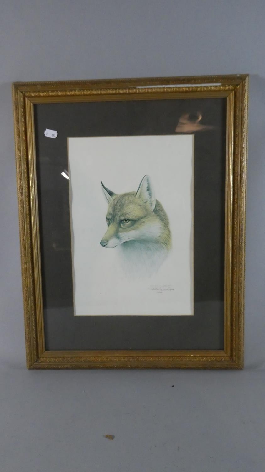 A Gilt Framed Limited Edition Print of a Fox by Patrick Oxenham, No 110/500. 36cm x 24cm.