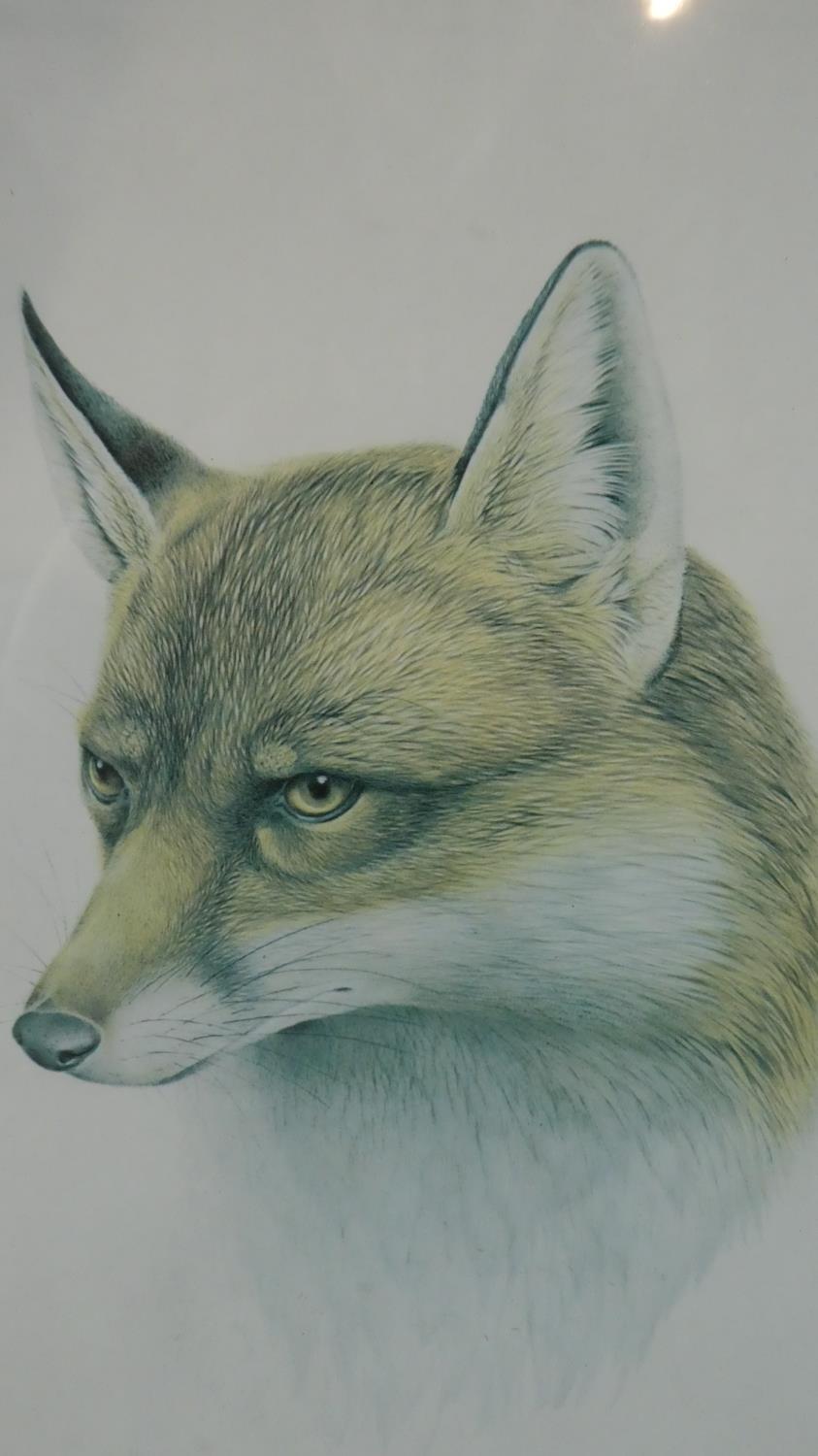 A Gilt Framed Limited Edition Print of a Fox by Patrick Oxenham, No 110/500. 36cm x 24cm. - Image 2 of 2