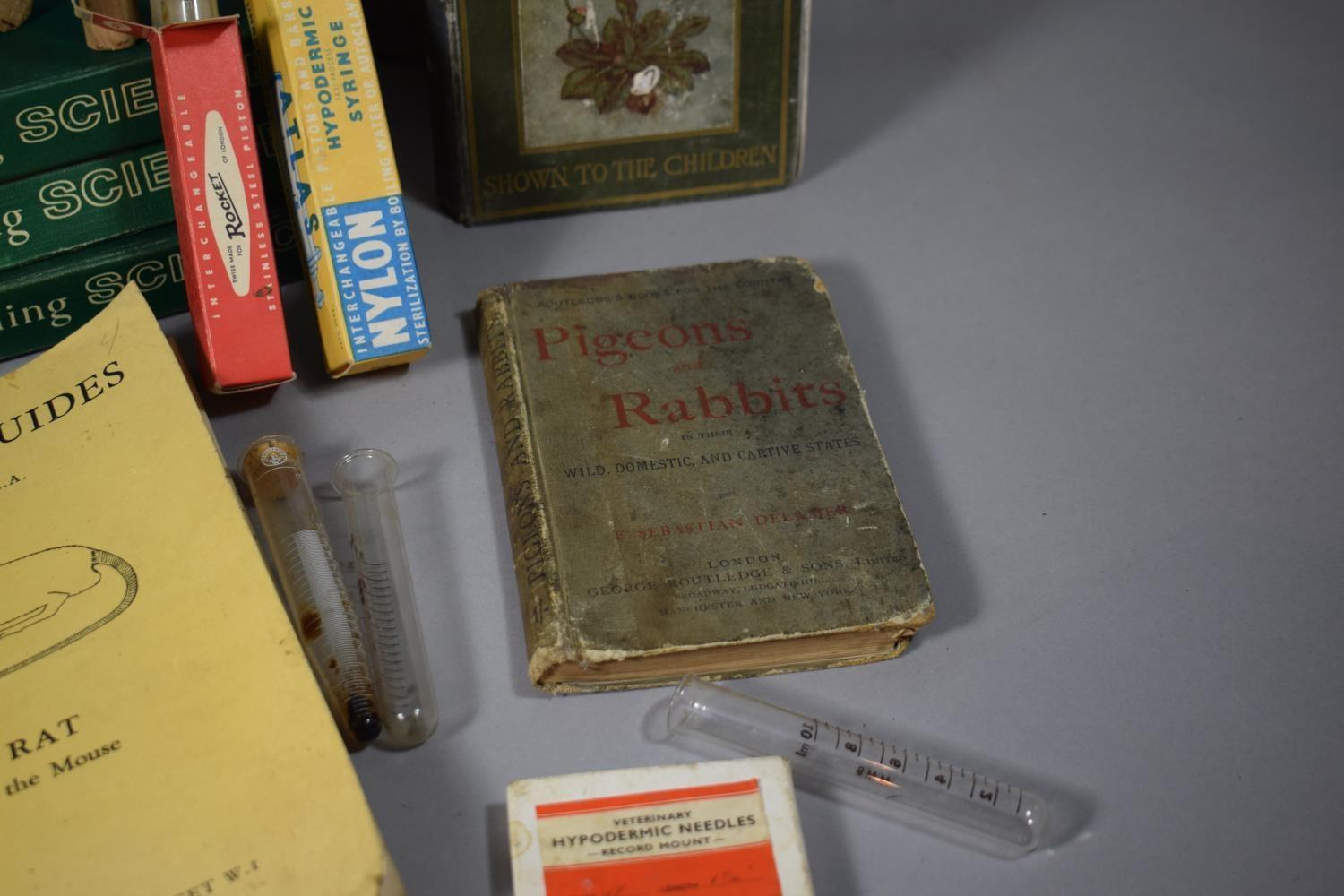 A Collection of Scientific Equipment, Books & Specimens to Include Test Tubes, Sieve, Corks, - Image 4 of 7