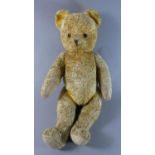 A Vintage Plush Teddy Bear with Growler. 60cms High