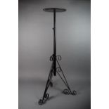 An Adjustable Wrought Iron Plant Stand with Tripod Support