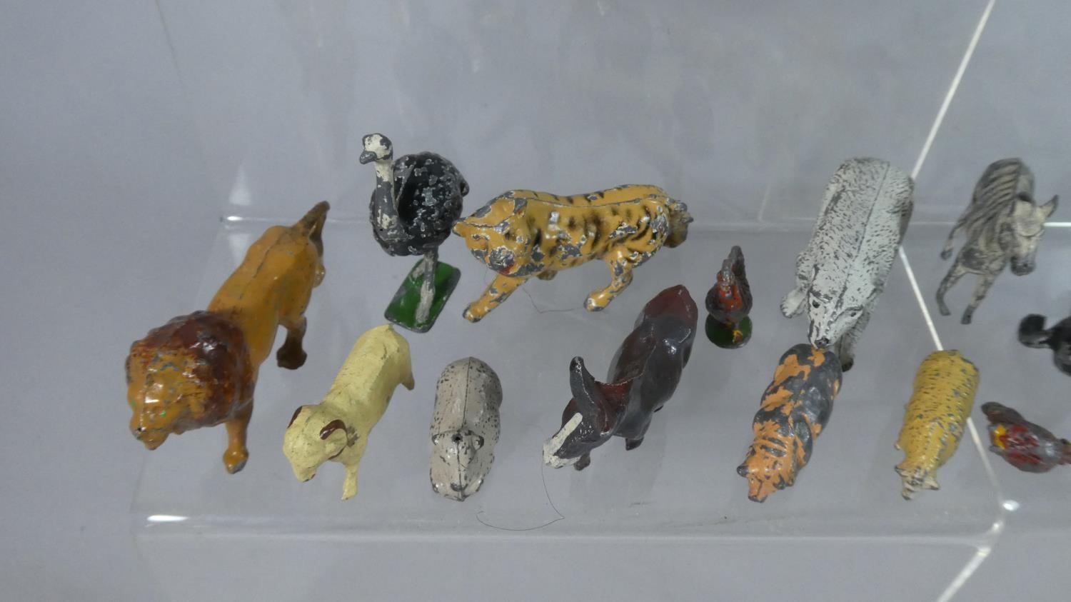 A Collection of 39 Cold Painted Metal (Playworn) Zoo Animals and Birds, (Some AF) to Include - Image 5 of 5